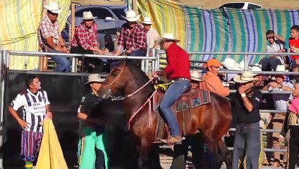 LENNIN NOTA RESUMEN TORIADAS LA MANI COMAYAGUA