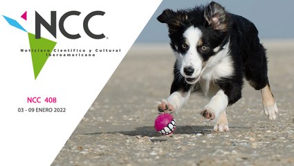 Noticiero Científico y Cultural Iberoamericano, emisión 408. 03 al 09 de enero de 2022