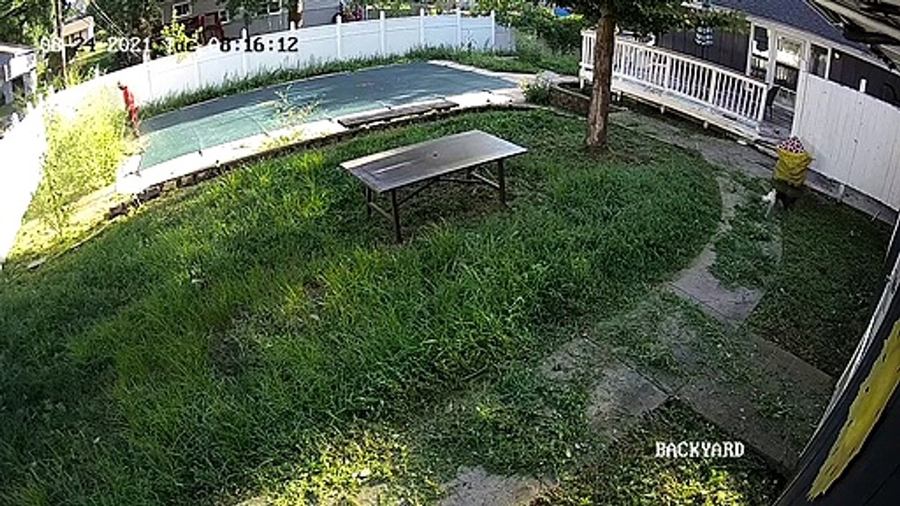 Dad Cutting Grass Accidentally Falls into Pool
