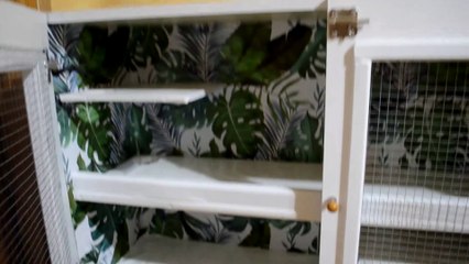 JAULA CASERA LOW COST PARA HÁMSTERS  EP 5 | PONGO LA MALLA, CERROJO, PROTECTORES Y LEJAS | DIY JAULA