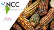 Noticiero Científico y Cultural Iberoamericano, emisión 409. 03 al 09 de enero de 2022