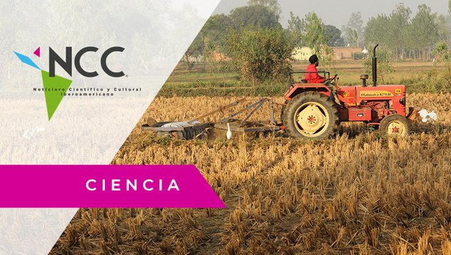 En 10 años, el cambio climático podría afectar la agricultura mundial