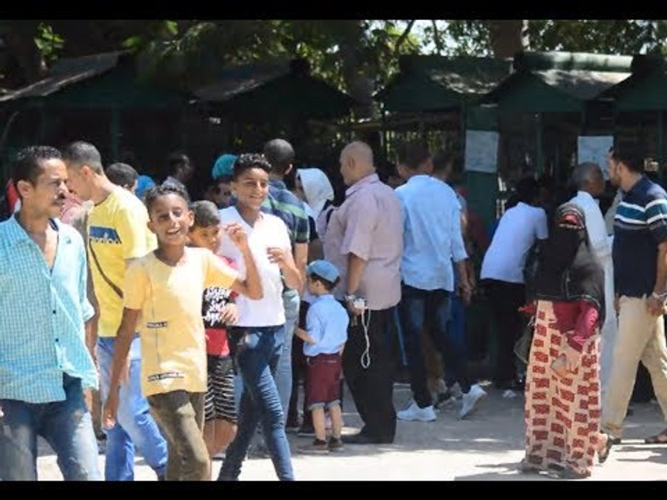 إقبال كثيف على حديقة الحيوان بالإسكندرية في ثالث أيام عيد الأضحى
