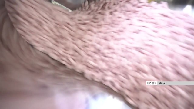 정부, 코로나19 먹는 치료제 100만4천 명분 선구매 추진 / YTN