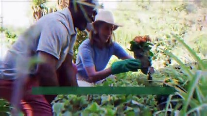 Kitchen Leftovers That Are Great For Your Garden