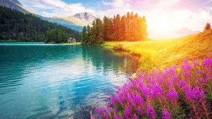 Deep sleep music Meditation music Relaxation music