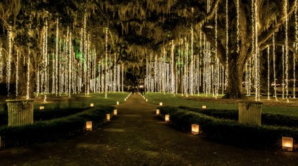 Nights of A Thousand Candles Is Back at South Carolina's Brookgreen Gardens