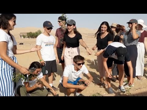 غرس 1300 شجرة خلال فعاليات يوم التطوع المصري الألماني