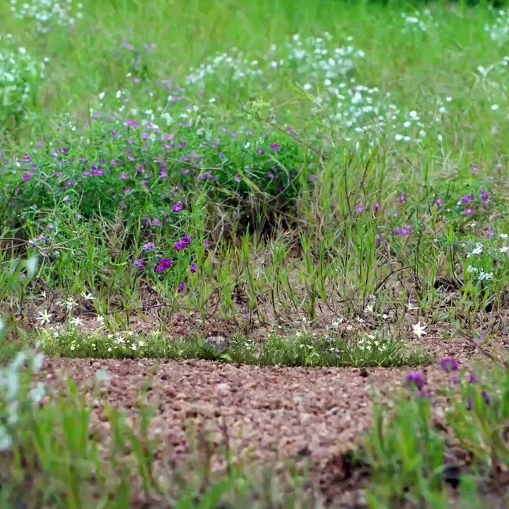 High-tech fitness: 2021's best inventions | NEXT NOW