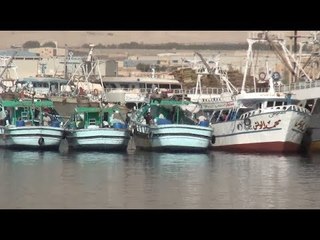 انطلاق موسم الصيد بخليج السويس والبحر الأحمر بعد أطول فترة توقف
