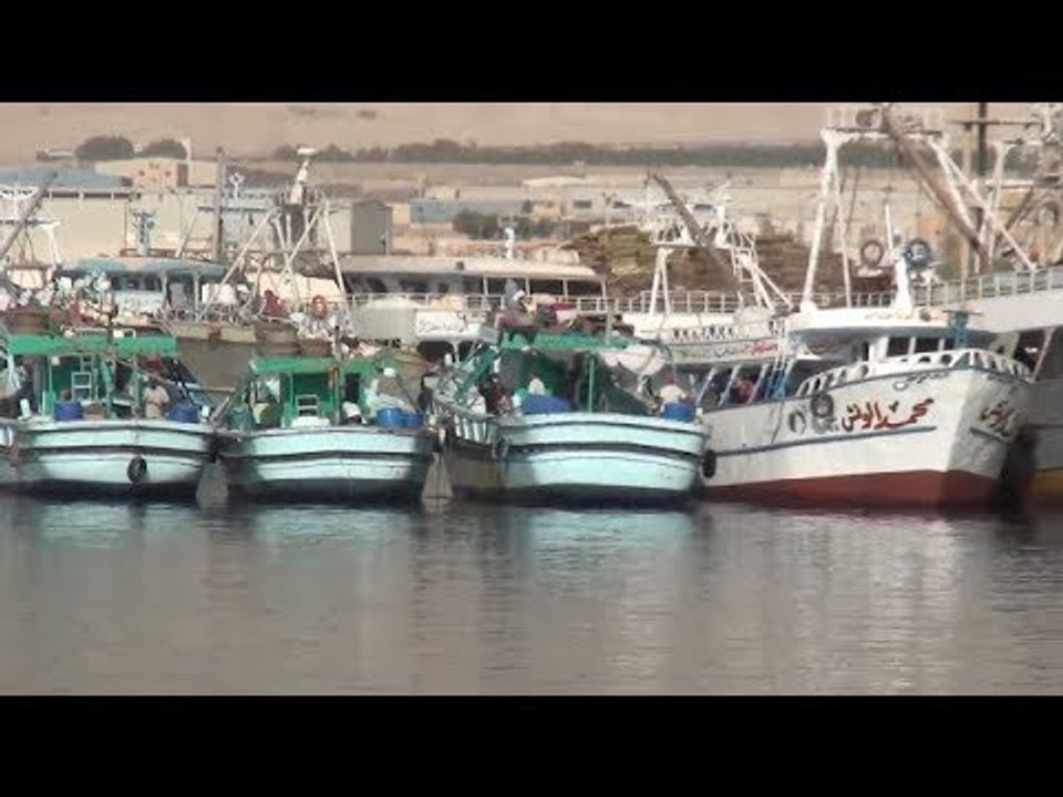 انطلاق موسم الصيد بخليج السويس والبحر الأحمر بع...