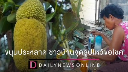 ฮือฮา ขนุนประหลาด ชาวบ้านจุดธูปไหว้ขอโชค-ส่องเลขเด็ด ส่งท้ายปี | ชนคลิปข่าว 28/12/64 เดลินิวส์