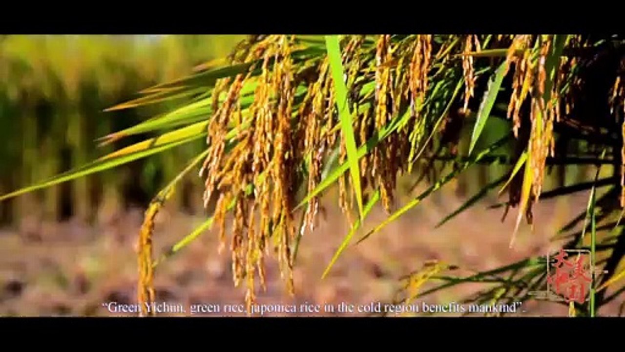 The Great Beauty of China（Episode 6）Ecological Food Production（English version）