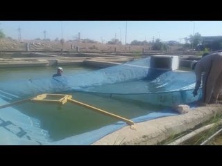 الثروة السمكية تطلق الدفعة الأولى من ذريعة البلطي في بحيرة ناصر