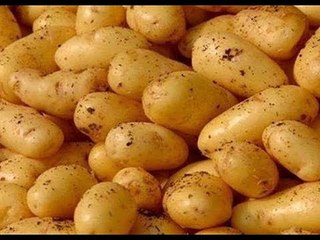 بائع سندوتشات بطاطس:  كنت  بجيب 70 كيلو بقيت بجيب 15 فقط