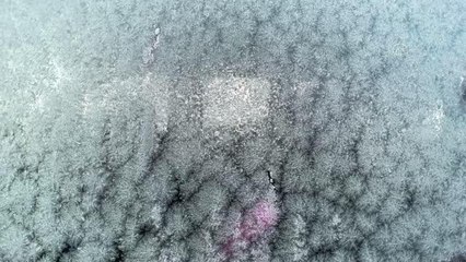 Dondurucu soğuklar etkili oluyor