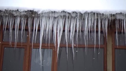 Soğuk hava hayatı olumsuz etkiliyor