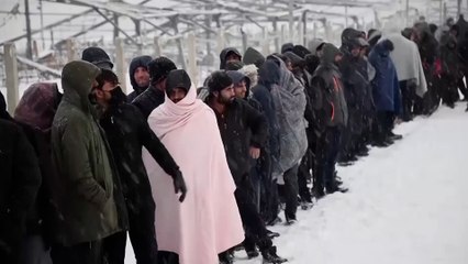 الهجرة غير النظامية.. أرقام وإحصاءات