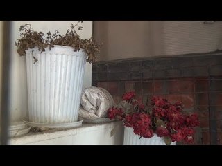 موت عم محمد يغيب رائحة  الورد عن  شارع شامبليون