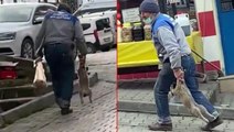 Görüntü tepki çekti! Yavru köpeği patisinden taşıyan belediye işçisi kendini böyle savundu