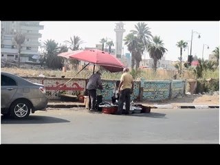 انخفاض أسعار الكابوريا في السويس