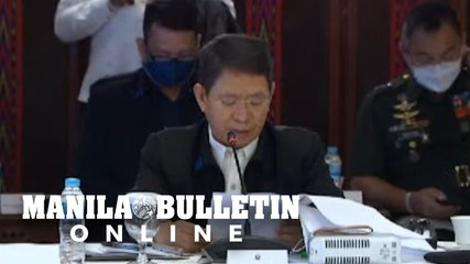 Año orders crackdown on sale of illegal firecrackers