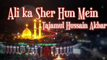 Ali Ka Sher Hun Mein | Tajamul Hussain Akbar | Noha | Labaik | HD Video