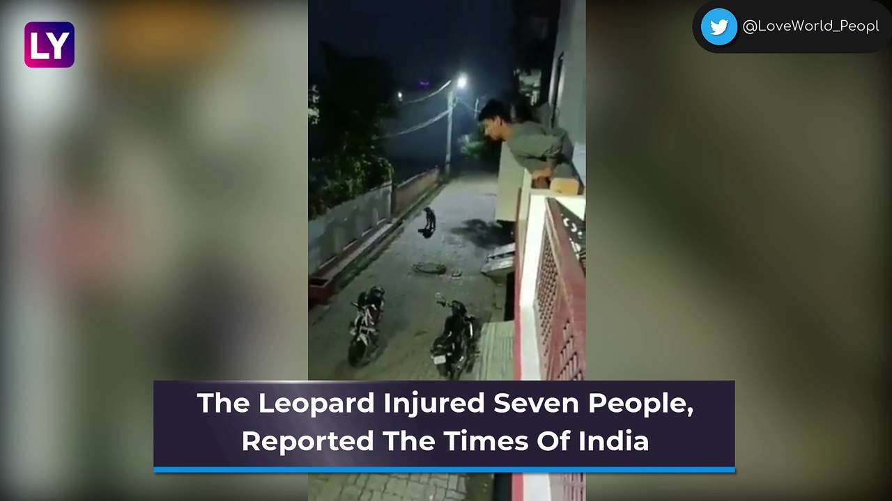 Leopard On The Prowl In Lucknow's Kalyanpur, Locals Told To Stay Alert
