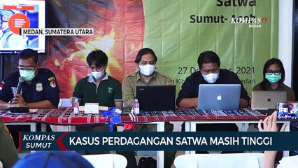 STFJ Soroti Konflik Manusia dan Satwa Sepanjang 2021