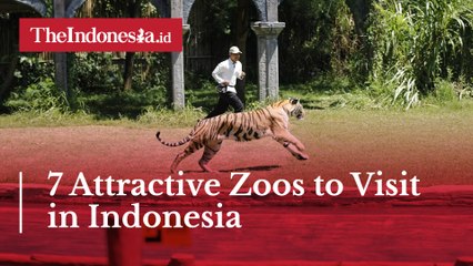 7 Attractive Zoos to Visit in Indonesia