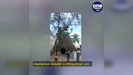 புதுச்சேரி: 'ஆள விடுங்கடா சாமி…' தடுப்பூசி போட பயந்து... மரத்தின் உச்சியில் ஏறிய நபர்!