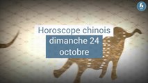 FEMME ACTUELLE - Horoscope chinois du jour, Serpent de Bois, du dimanche 24 octobre