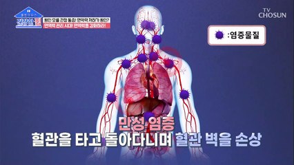고지혈증을 이겨낸 이상미도 섭취한 장어 진액 속 핵심 성분 TV CHOSUN 20211227 방송