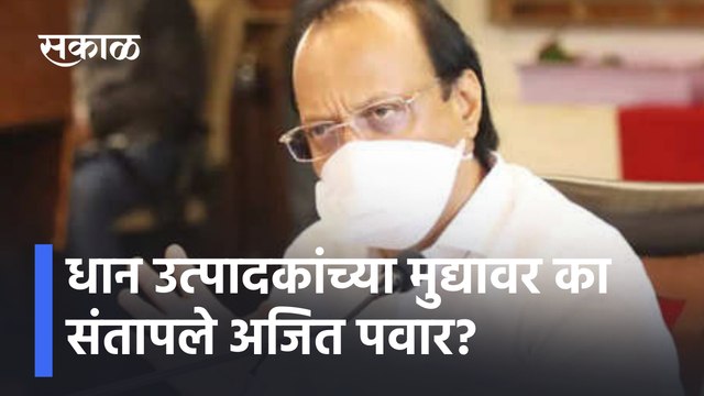 Ajit pawar | धान उत्पादकांच्या मुद्यावर का संतापले अजित पवार?| Sakal Media