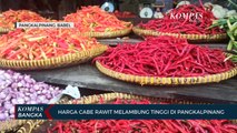 Harga Melambung Tinggi, Cabe Rawit di Pangkalpinang Semakin Pedas
