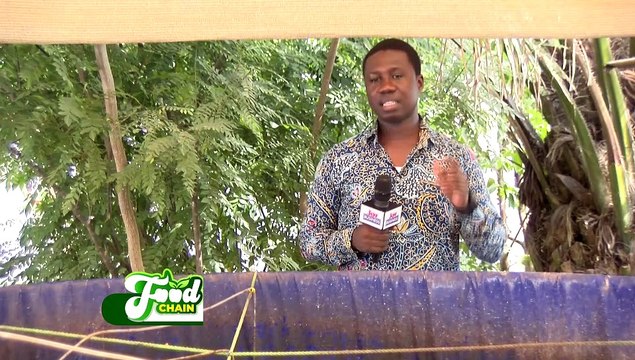Bio Floc Farming - Food Chain on Joy Business(28-12-21)