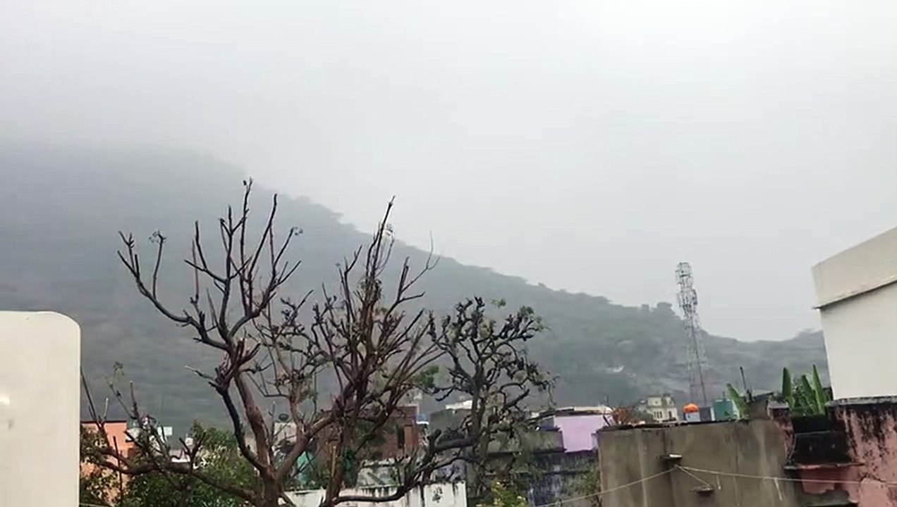 Weather News- बादल, कोहरे और ठंडी हवाओं ने बढ़ाई ठिठुरन
