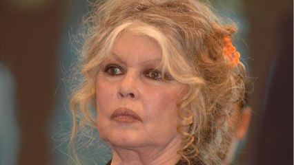 FEMME ACTUELLE - "Il était absolument nul" : Brigitte Bardot déplore l'inaction d'Emmanuel Macron après leur rencontre