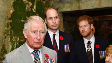 FEMME ACTUELLE - Le prince Charles, un “père absent” pour William et Harry ? Sa face sombre dévoilée