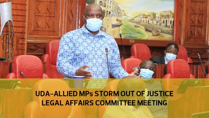 UDA-allied MPs storm out of Justice Legal Affairs Committee meeting