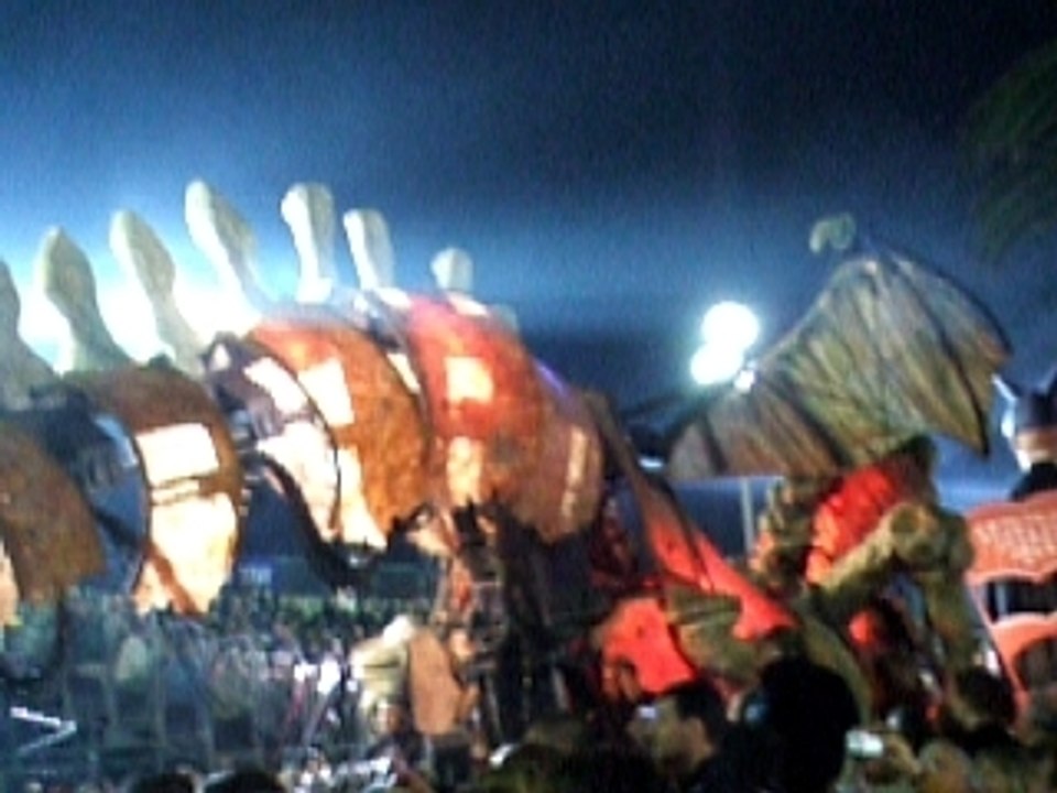 Video 8 - Carnevale Nizza 2008, le Carnaval de Nice