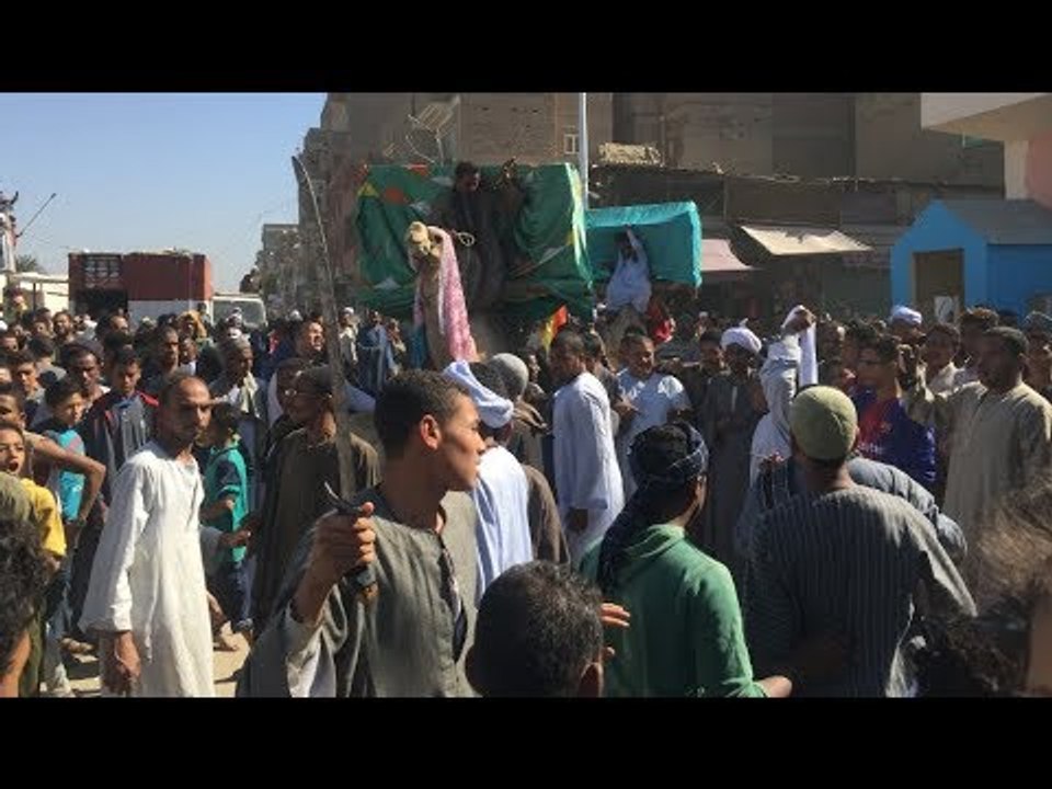 الطرق الصوفية في دشنا بقنا تحتفل بذكرى المولد النبوي بالسيوف والعصي والجمال