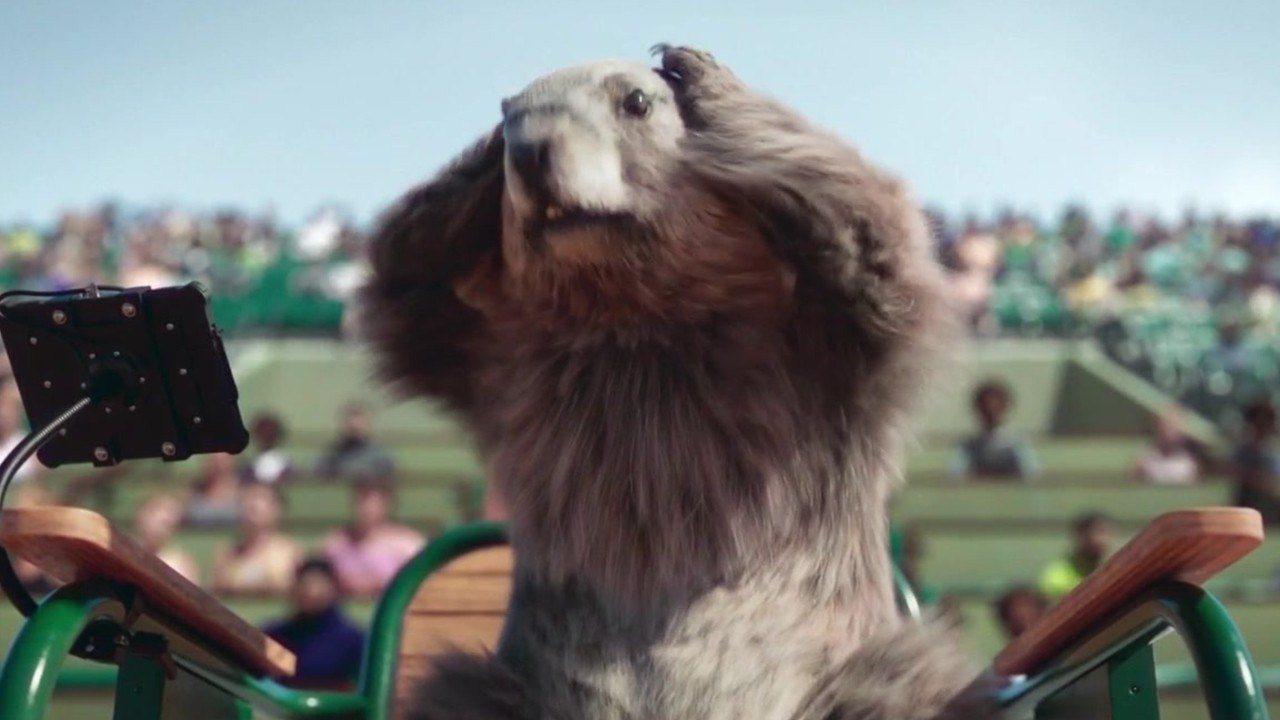 FEMME ACTUELLE - France 3 : pourquoi les marmottes font leurs adieux aux téléspectateurs ?