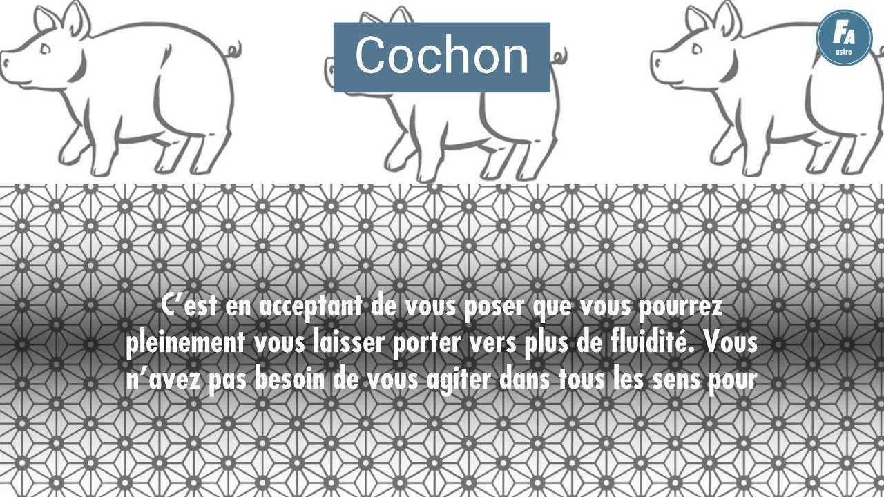FEMME ACTUELLE - Horoscope chinois du jour, Chien d'Eau, du samedi 11 septembre 2021