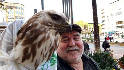 Bitkin haldeki şahini kurtaran vatandaş: "Hakkı Bulut'un kasetini dinleyince kendine geldi"