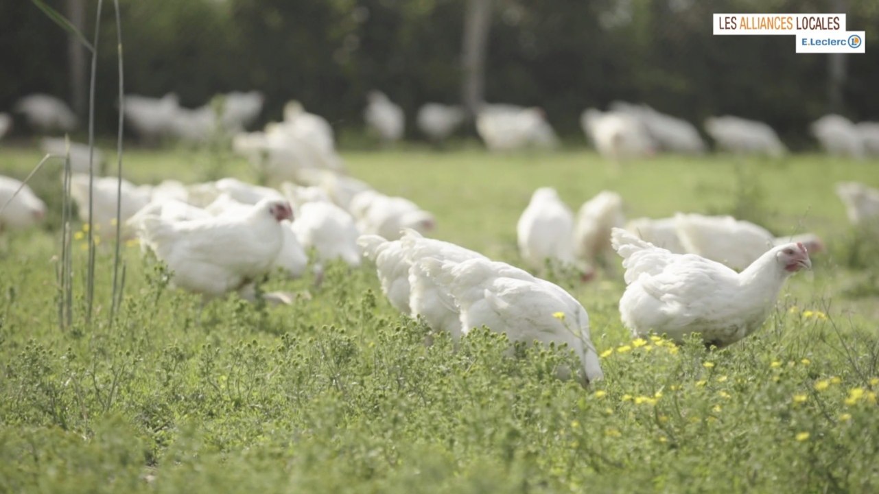 Des Régions à Croquer : Découvrez l'histoire des volailles de la famille Lauby, avec Nicolas Rieffel et les Alliances Locales E.Leclerc