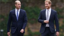 FEMME ACTUELLE - Prince Harry : une émission télévisée dérape et sous-entend que Charles n’est pas son 
