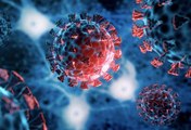 Coronavirus Lingers in Organs for Months, New Study Suggests