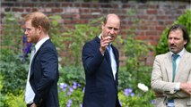 FEMME ACTUELLE - Hommage à Diana : les retrouvailles tendues entre le prince Harry et William