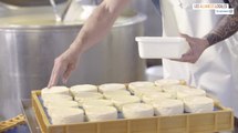 Des Régions à Croquer : Nicolas Rieffel est parti à la découverte du fromage de Bergues avec les Alliances Locales E.Leclerc